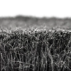 Muc-Off Soft Washing Brush 5 Muc-Off Soft Washing Brush -DOLAN BIKES COMPONENTS Soft Washing Brush 6