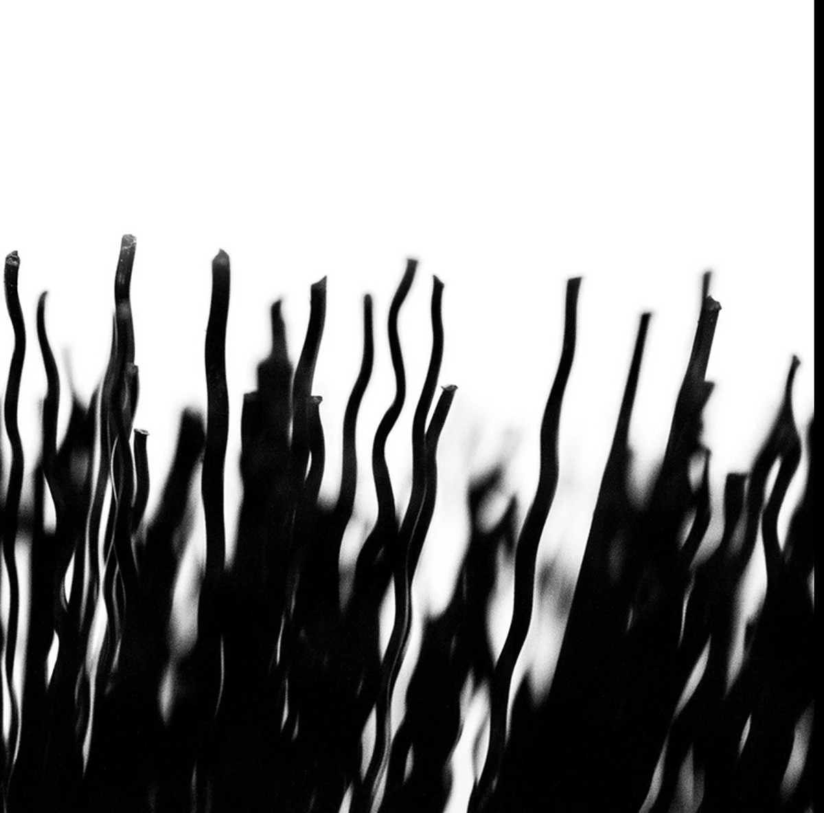 Muc-Off Tyre & Cassette Brush Muc-Off Tyre & Cassette Brush -DOLAN BIKES COMPONENTS Tyre Cassette Brush 4